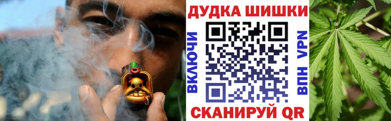 Конопля план  наркотики  Цивильск 